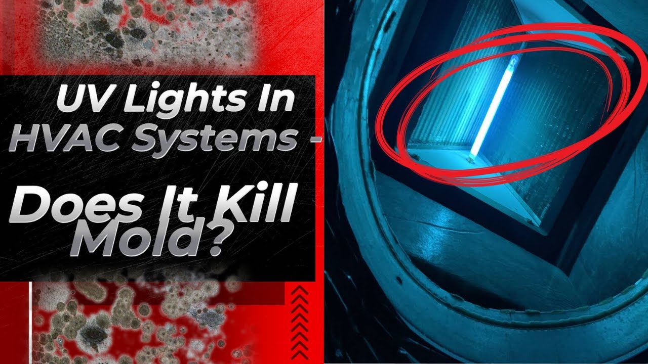 UV Lights in HVAC Systems - Does it Kill Mold?