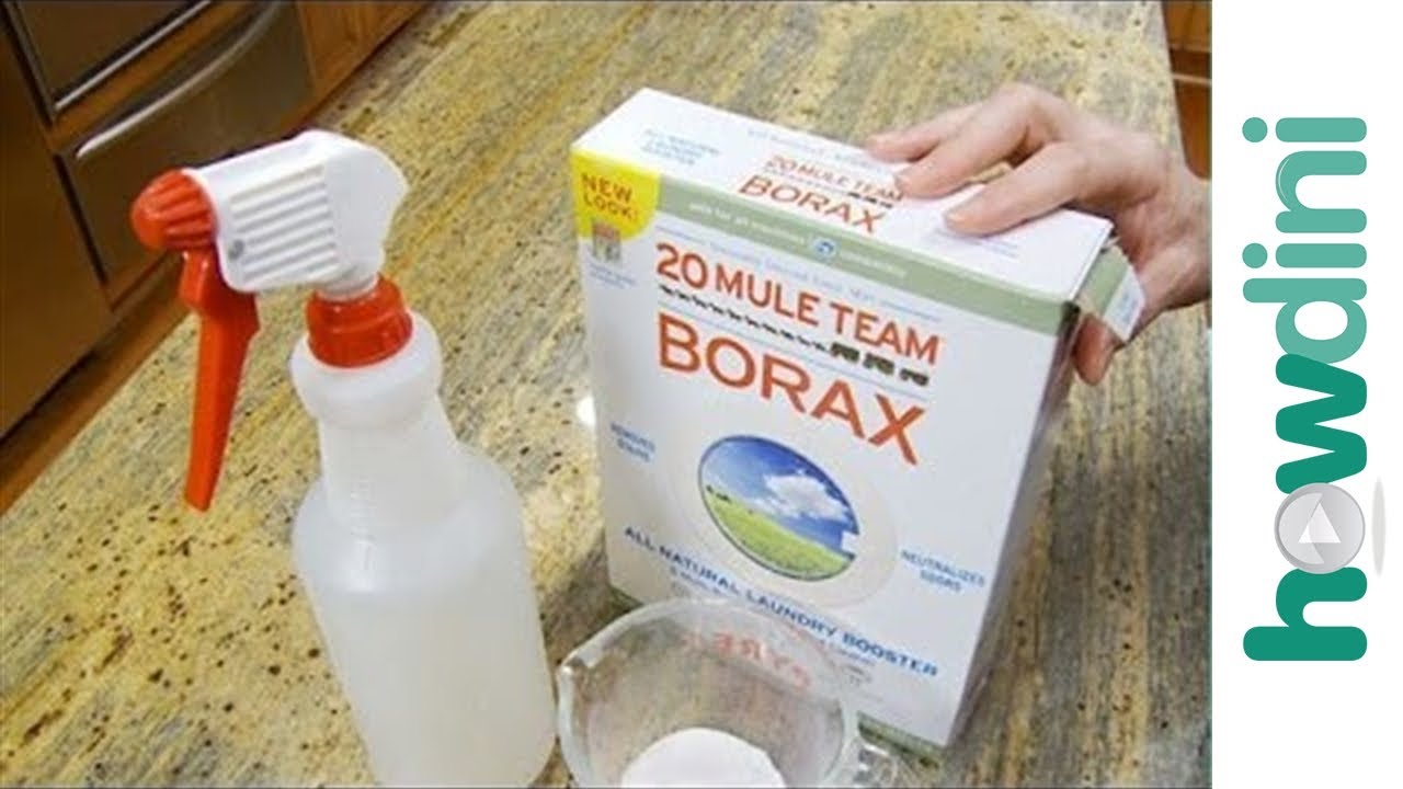 How to Kill Mold with Borax