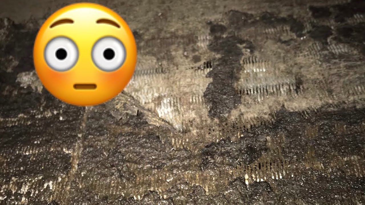 Cleaning a NASTY Evaporator Coil!! HVAC Service Call