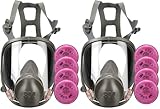 3M Respirator Kit, Full Face 6900, Reusable, Large, Plus 4 Particulate Filters 2097, P100 for Mold Remediation, Dust, Lead, Asbestos, 69097
