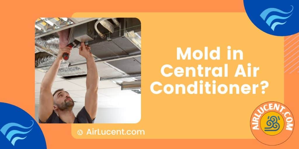 Mold in Central Air Conditioner? (Causes & Solutions) Airlucent