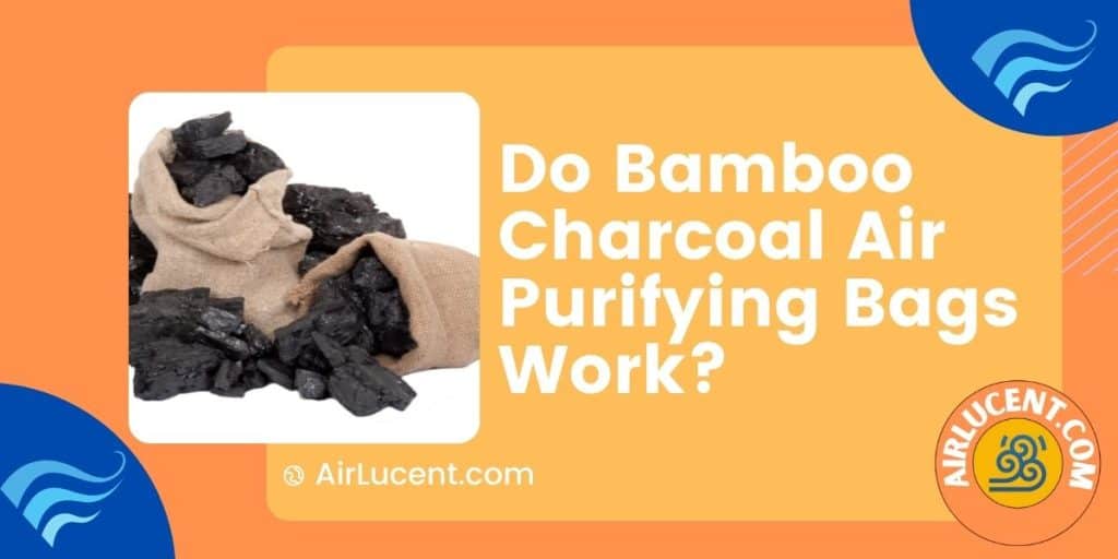 Do Bamboo Charcoal Air Purifying Bags Work? 4 Best Bags + Reviews
