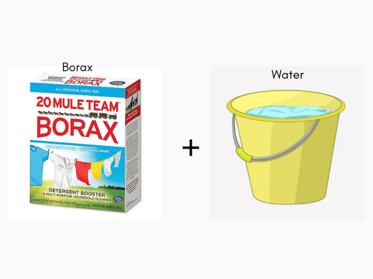 Does Borax Kill Mold and Mildew? How to Clean with Borax Airlucent