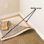 How Do You Kill Mold on Porous Surfaces?
