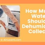 How Much Water Should A Dehumidifier Collect?