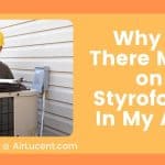 Why Is There Mold on Styrofoam In My AC