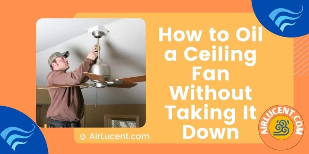 How To Oil (Lubricate) A Ceiling Fan in 7 Steps (Without Taking It Down