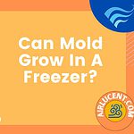 Can Mold Grow In A Freezer?