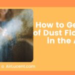How to Get Rid of Dust Floating in the Air